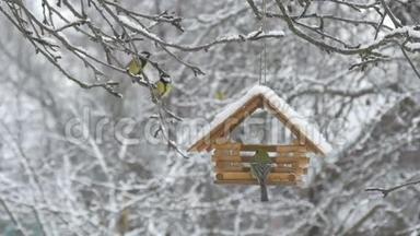 鸟儿飞到喂食器前，拿起粮食飞走了，雪落在树上，雪花飘落在鸟舍里